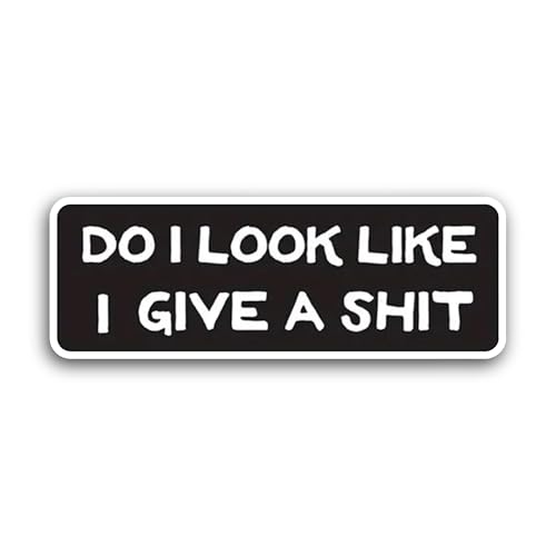 2 (Pieces) 3" and 5" Do I Look Like Text Sticker, Waterproof Vinyl Decals for Many Purpose Like Cars