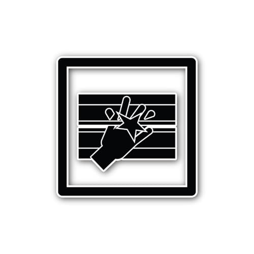 2 (Pieces) 3" and 5" Hand Holding a Star Sticker, Waterproof Vinyl Decals for Many Purpose Like Cars