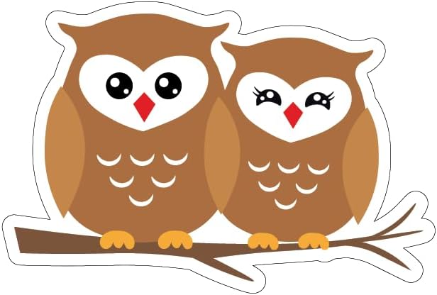 Inspirational Quote Owl Couple Motivational Sticker Vinyl Decal Motivation Stickers- 5" Vinyl Sticker Waterproof