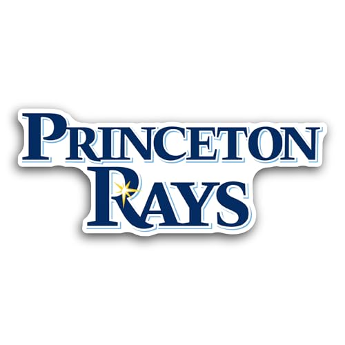 2 (Pieces) 3" and 5" Princet0n Logo Decal Sticker, Waterproof Vinyl Decals for Many Purpose Like Car