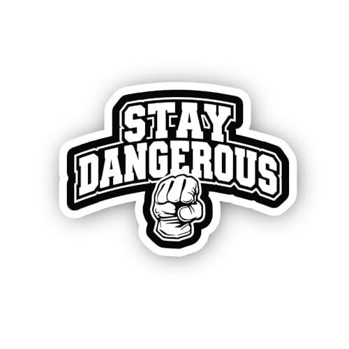 2 (Pieces) 3" and 5" Stay Dangerous Fist Graphic Sticker, Waterproof Vinyl Decals for Many Purpose L