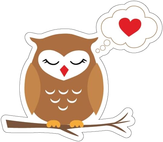 Inspirational Quote Owl Sleep Heart Dream Motivational Sticker Vinyl Decal Motivation Stickers- 5" Vinyl Sticker Waterproof