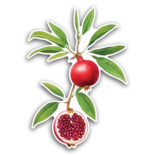 2 (Pieces) 3" and 5" Pomegranate Fruit Sticker, Waterproof Vinyl Decals for Many Purpose Like Cars,