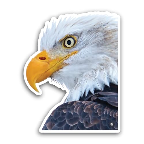 2 (Pieces) 3" and 5" Eagle Head Sticker, Waterproof Vinyl Decals for Many Purpose Like Cars, Trucks,