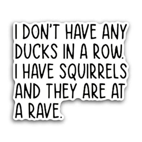 2 (Pieces) 3" and 5" I Don't Have Any Sticker, Waterproof Vinyl Decals for Many Purpose Like Cars, T