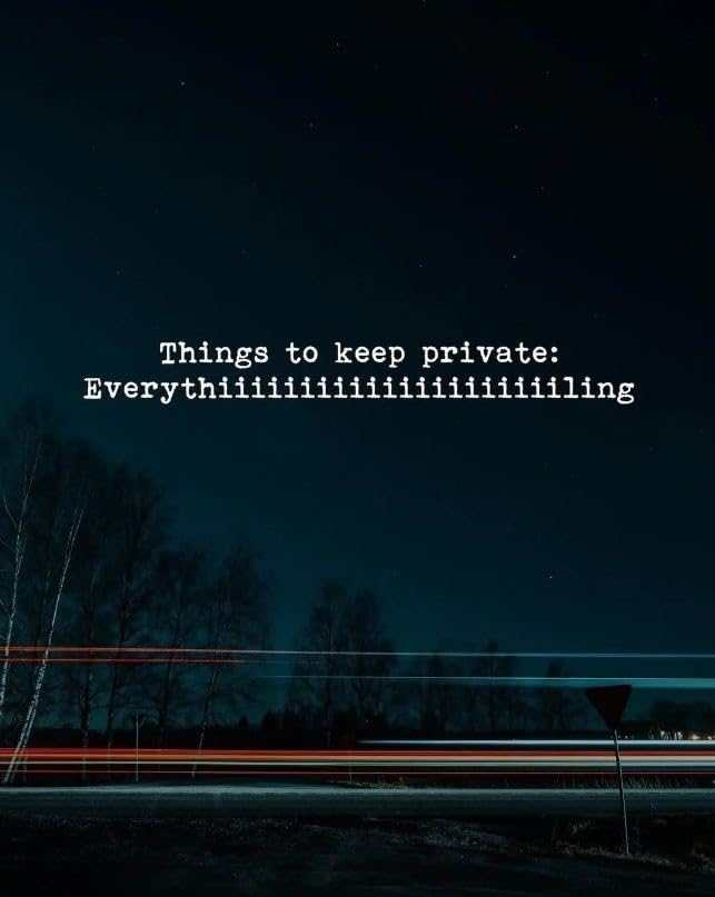 Things to Keep Private Everything Sticker - 5" Vinyl Sticker Waterproof
