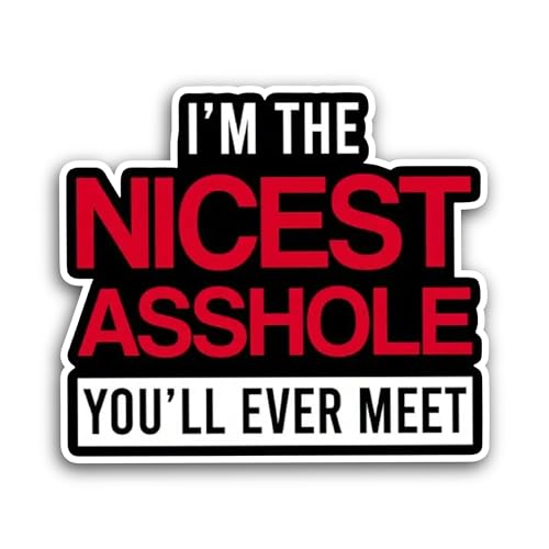 2 (Pieces) 3" and 5" I am The Nicest Sticker, Waterproof Vinyl Decals for Many Purpose Like Cars, Tr