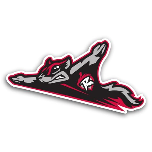 2 (Pieces) 3" and 5" Fly1ng Squirr3ls Logo Decal Sticker, Waterproof Vinyl Decals for Many Purpose L