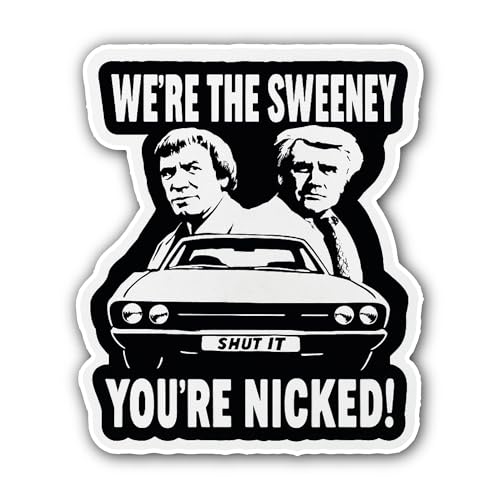 2 (Pieces) 3" and 5" 24 Hours CCTV Sticker, Waterproof Vinyl Decals for Many Purpose Like Cars, Truc