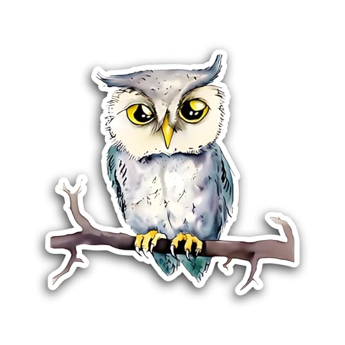 2 (Pieces) 3" and 5" Owl Sticker, Waterproof Vinyl Decals for Many Purpose Like Cars, Trucks, Laptop