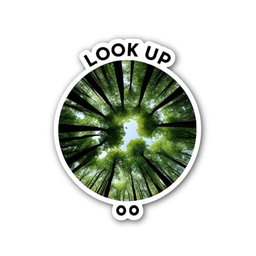 2 (Pieces) 3" and 5" Look UP Beautiful Leaf Area Sticker, Waterproof Vinyl Decals for Many Purpose L