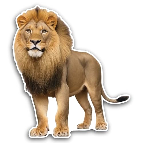 2 (Pieces) 3" and 5" Lion Closeup Sticker, Waterproof Vinyl Decals for Many Purpose Like Cars, Truck