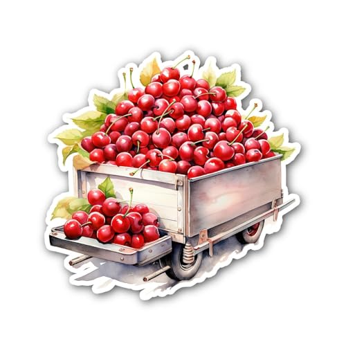 I Remembered I Don't Have to be Jolly All The time Sticker - 5" Vinyl Sticker Waterproof Vinyl Decal