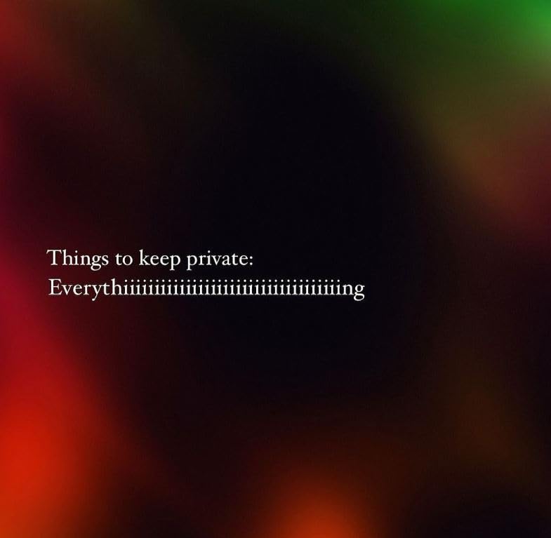 Things to Keep Private Everything Message Sticker - 5" Vinyl Sticker Waterproof