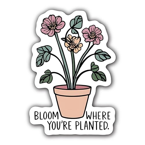 Strong Powerful Brave and Unstoppable with Pink Background- 5" Vinyl Sticker Waterproof