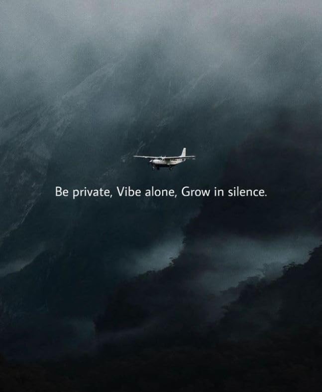 Be Private, Vibe Alone, Grow in Silence Message Sticker- 5" Vinyl Sticker Waterproof