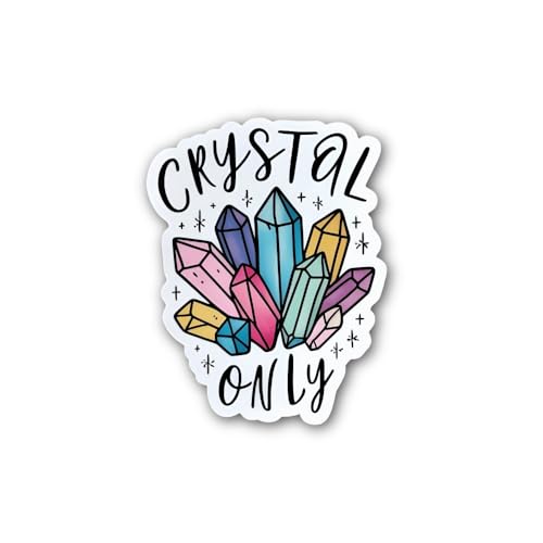 Stickers Reminders with Most Popular passwords Sticker - 5" Vinyl Sticker Waterproof