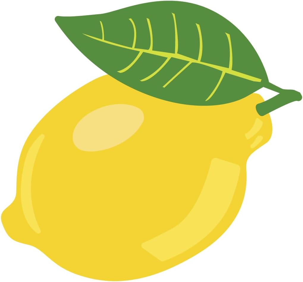 Inspirational Quote Fresh Lemon Fruit Motivational Sticker Vinyl Decal Motivation Stickers- 5" Vinyl Sticker Waterproof