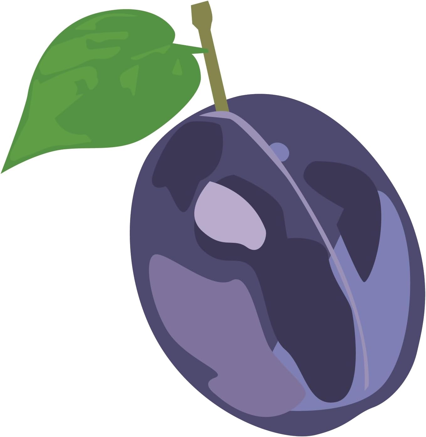 Inspirational Quote Colorful Cartoon Prune Fruit Motivational Sticker Vinyl Decal Motivation Stickers- 5" Vinyl Sticker Waterproof