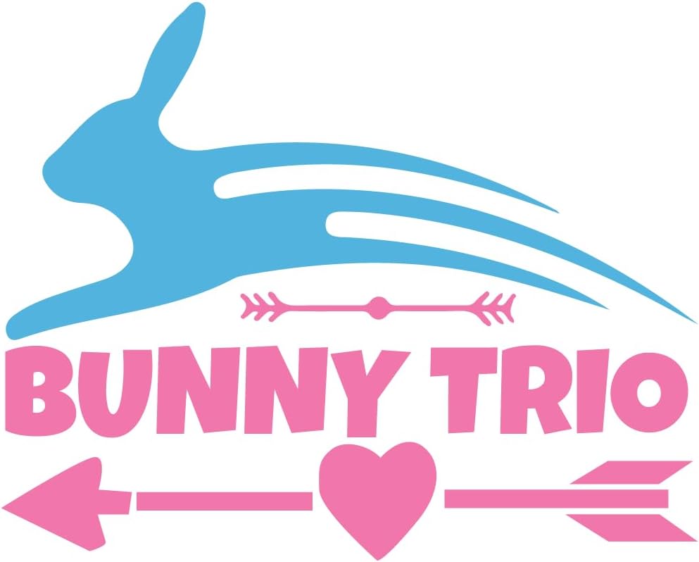 Inspirational Quote "Bunny Trio" Motivational Sticker Vinyl Decal Motivation Stickers- 5" Vinyl Sticker Waterproof