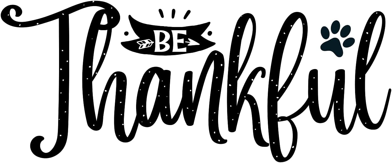 Inspirational Quote "Be Thankful for You" Motivational Sticker Vinyl Decal Motivation Stickers- 5" Vinyl Sticker Waterproof