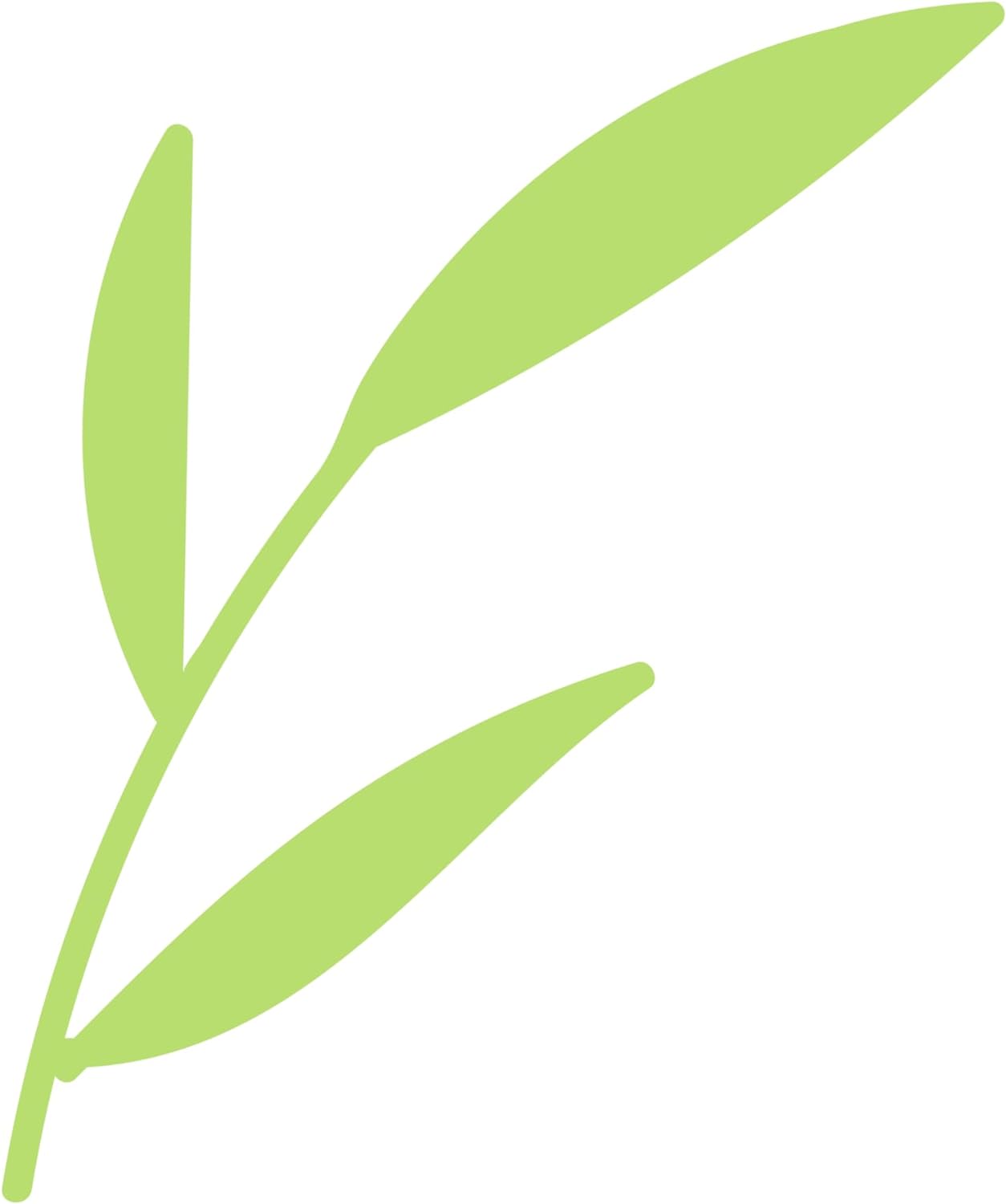 Inspirational Quote "Botanical Leaves Sticker" Motivational Sticker Vinyl Decal Motivation Stickers- 5" Vinyl Sticker Waterproof