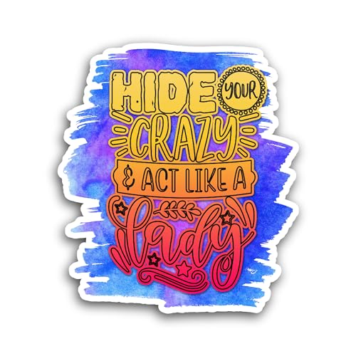 2 (Pieces) 3" and 5" Hide Your Crazy Sticker, Waterproof Vinyl Decals for Many Purpose Like Cars, Tr