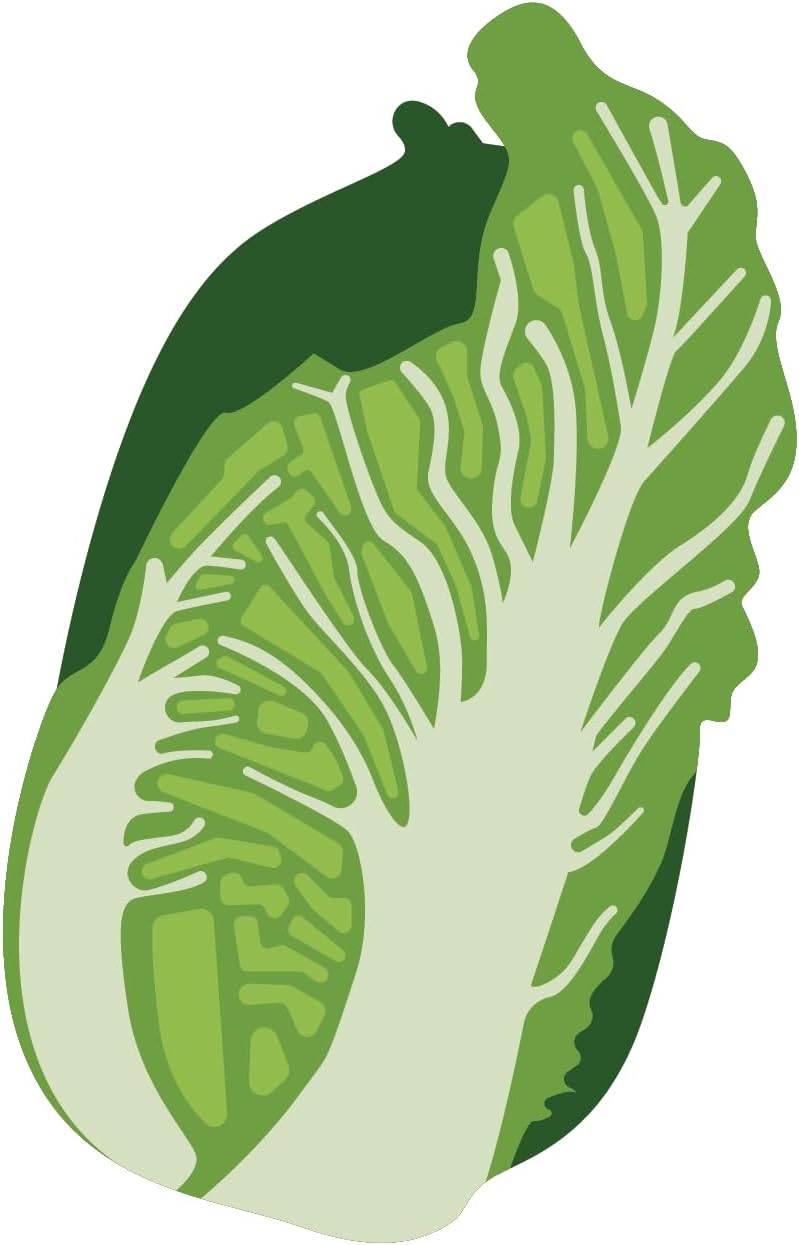 Inspirational Quote Chinese Cabbage Vegetable Motivational Sticker Vinyl Decal Motivation Stickers- 5" Vinyl Sticker Waterproof