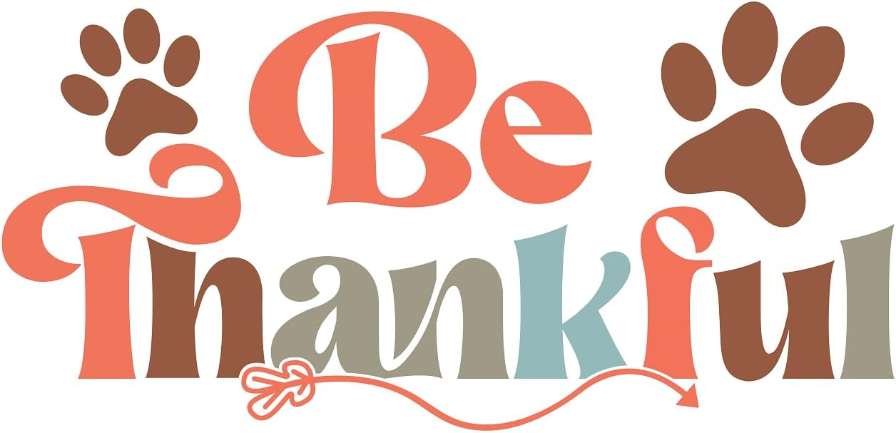 Inspirational Quote "Be Thankful-" Motivational Sticker Vinyl Decal Motivation Stickers- 5" Vinyl Sticker Waterproof