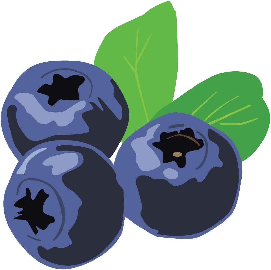Inspirational Quote Blueberry Vector Motivational Sticker Vinyl Decal Motivation Stickers- 5" Vinyl Sticker Waterproof
