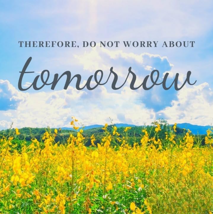 Inspirational Quote My Favorite Color Autumn Motivational Sticker Vinyl Decal Motivation Stickers- C