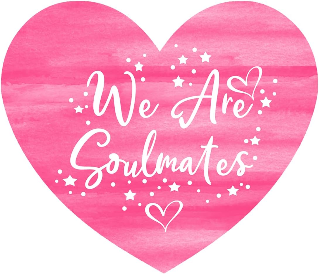 Inspirational Quote We are Soulmates Motivational Sticker Vinyl Decal Motivation Stickers- 5" Vinyl Sticker Waterproof