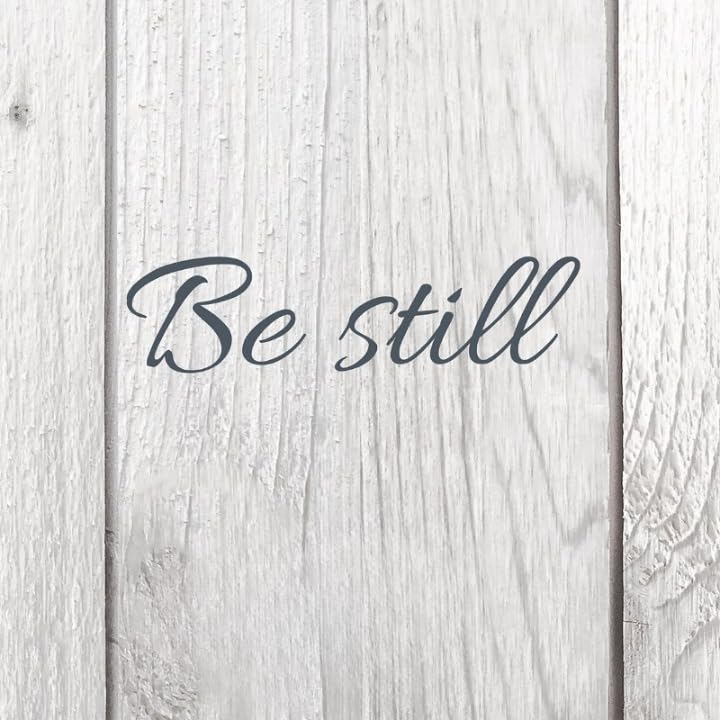 Inspirational Quote The Fall Vibes Make Me Bake A Pumpkin Pie Motivational Sticker Vinyl Decal Motiv