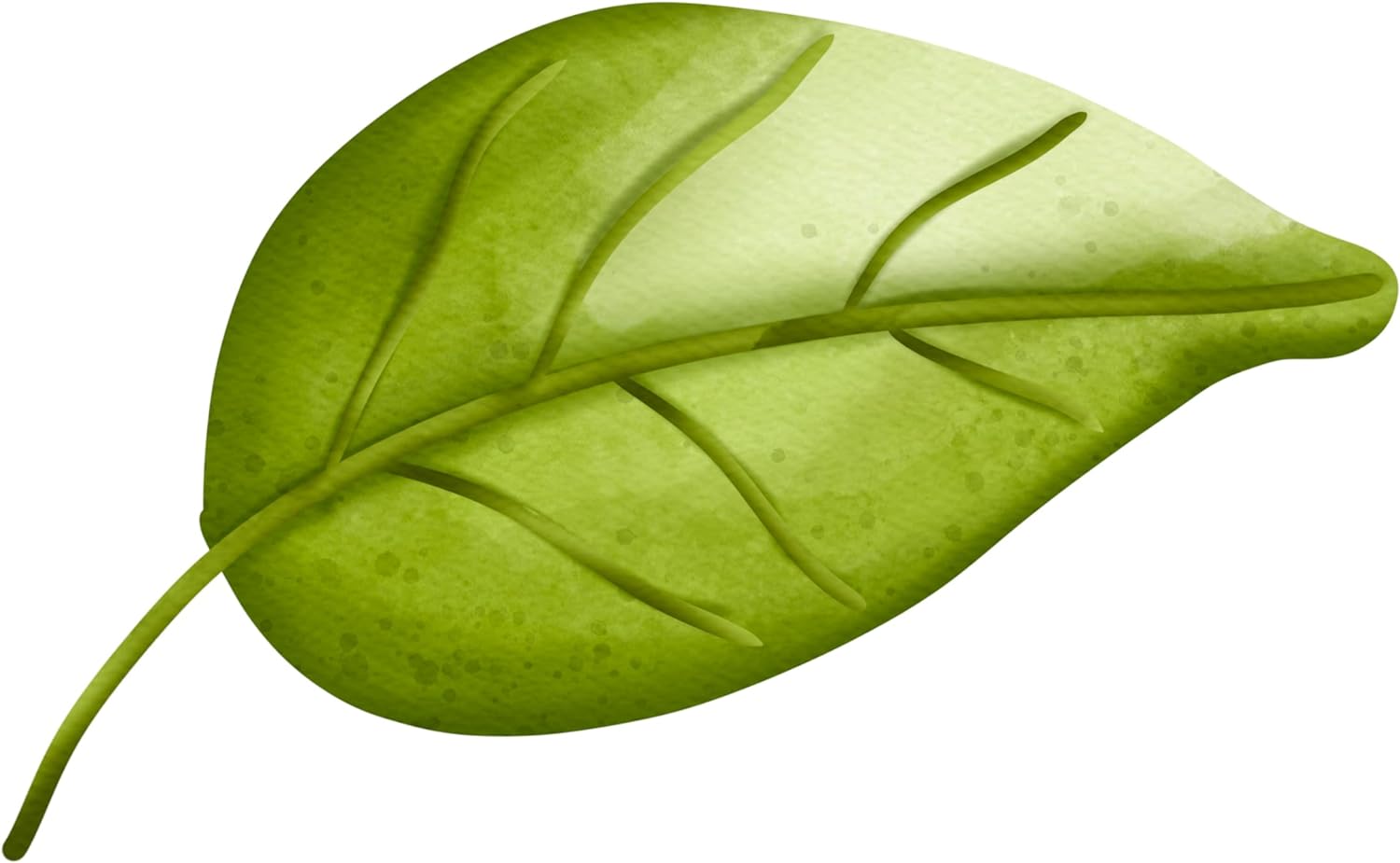 Inspirational Quote Green Leaf Motivational Sticker Vinyl Decal Motivation Stickers- 5" Vinyl Sticker Waterproof