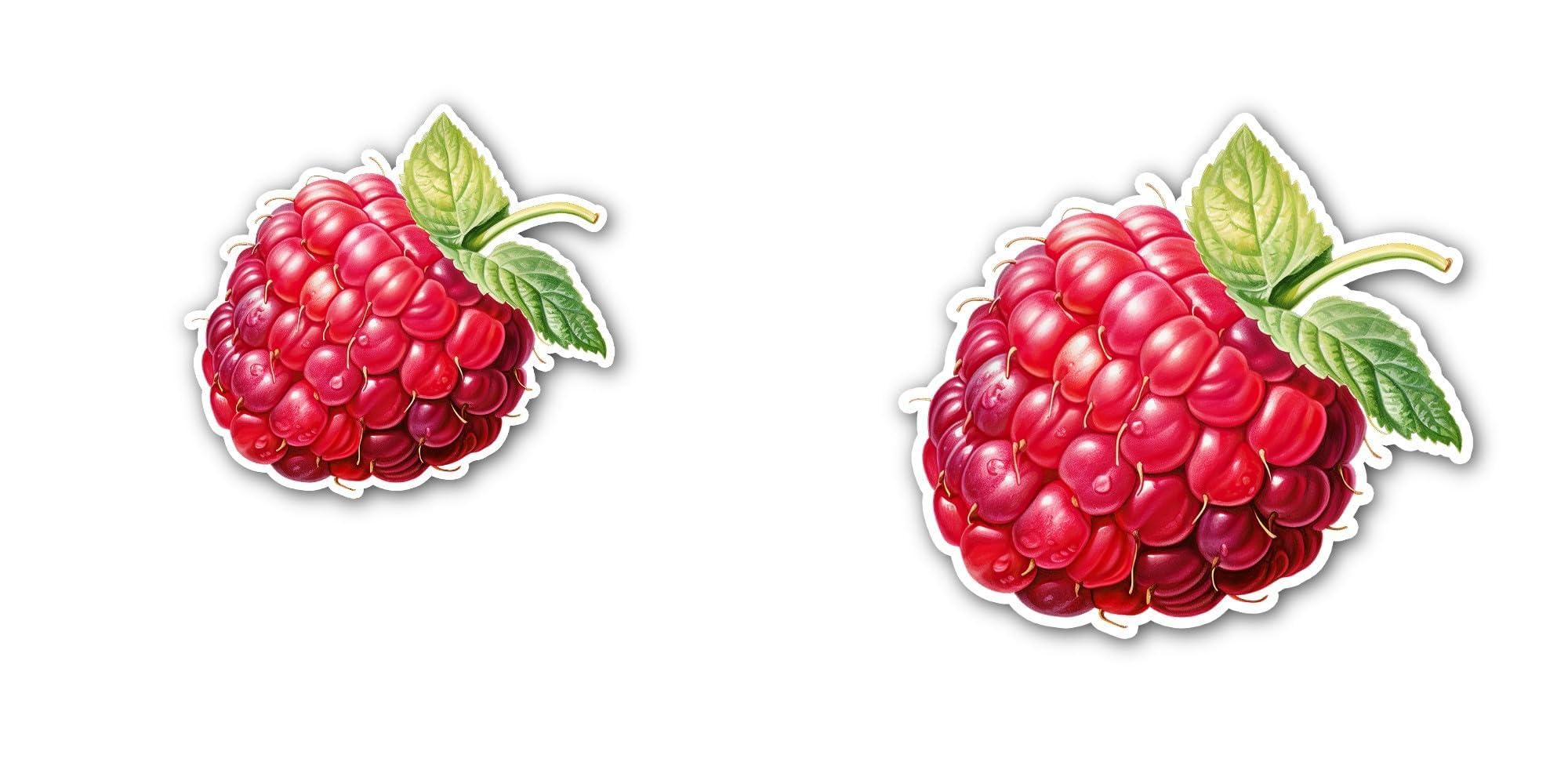 I Took a Walk Outside and admired Nature Sticker - 5" Vinyl Sticker Waterproof Vinyl Decals for All
