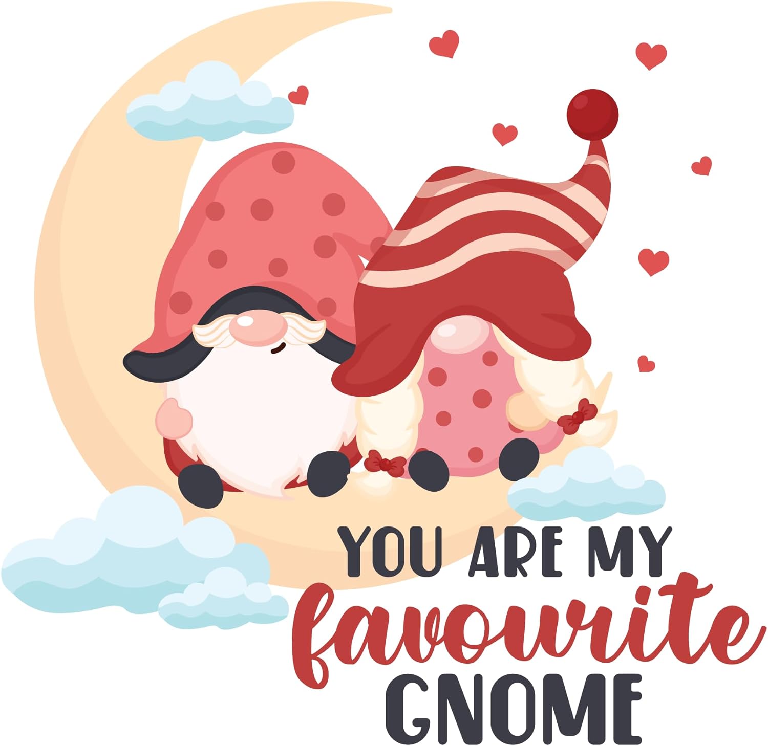 Inspirational Quote You are My Favourite Gnome Motivational Sticker Vinyl Decal Motivation Stickers- 5" Vinyl Sticker Waterproof