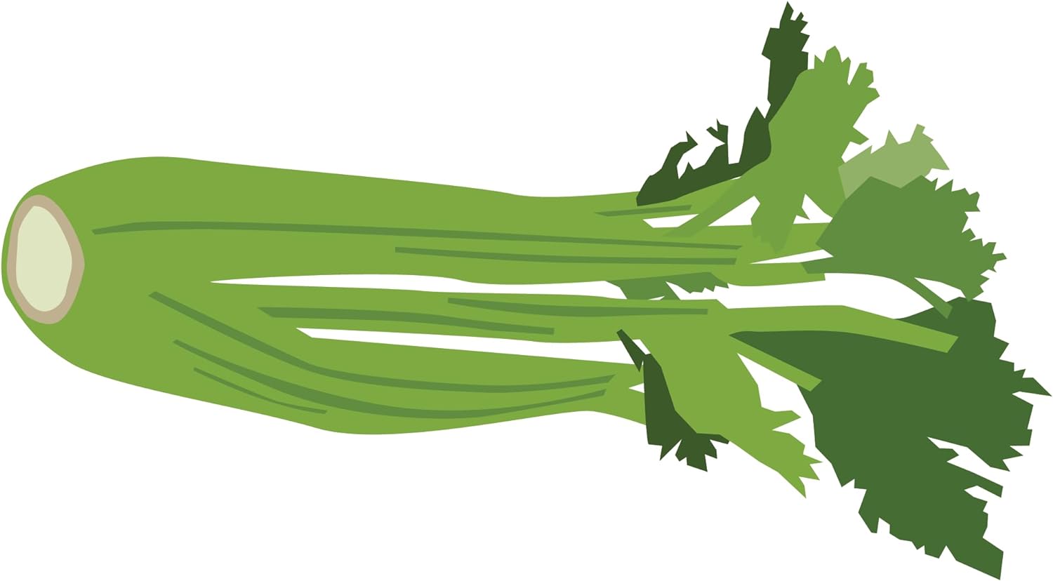 Inspirational Quote Stems and Leaves of Celery Motivational Sticker Vinyl Decal Motivation Stickers- 5" Vinyl Sticker Waterproof