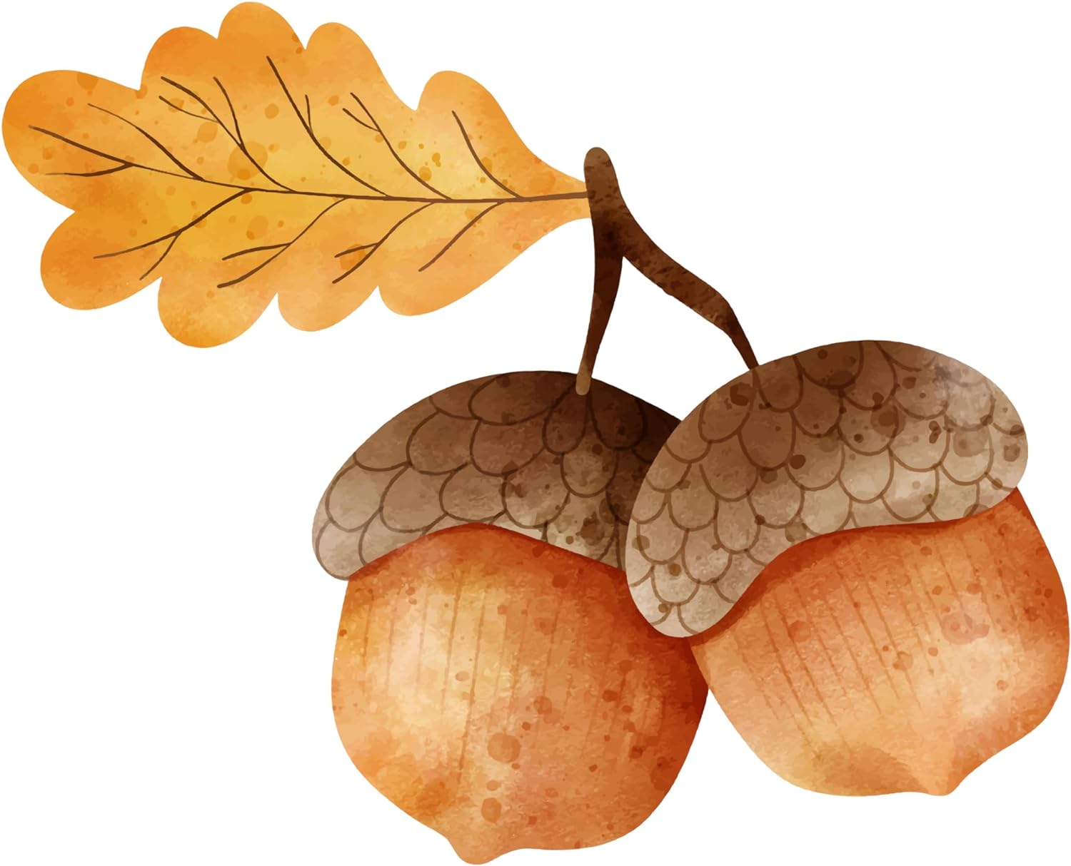 Inspirational Quote Watercolor Acorn Motivational Sticker Vinyl Decal Motivation Stickers- 5" Vinyl Sticker Waterproof