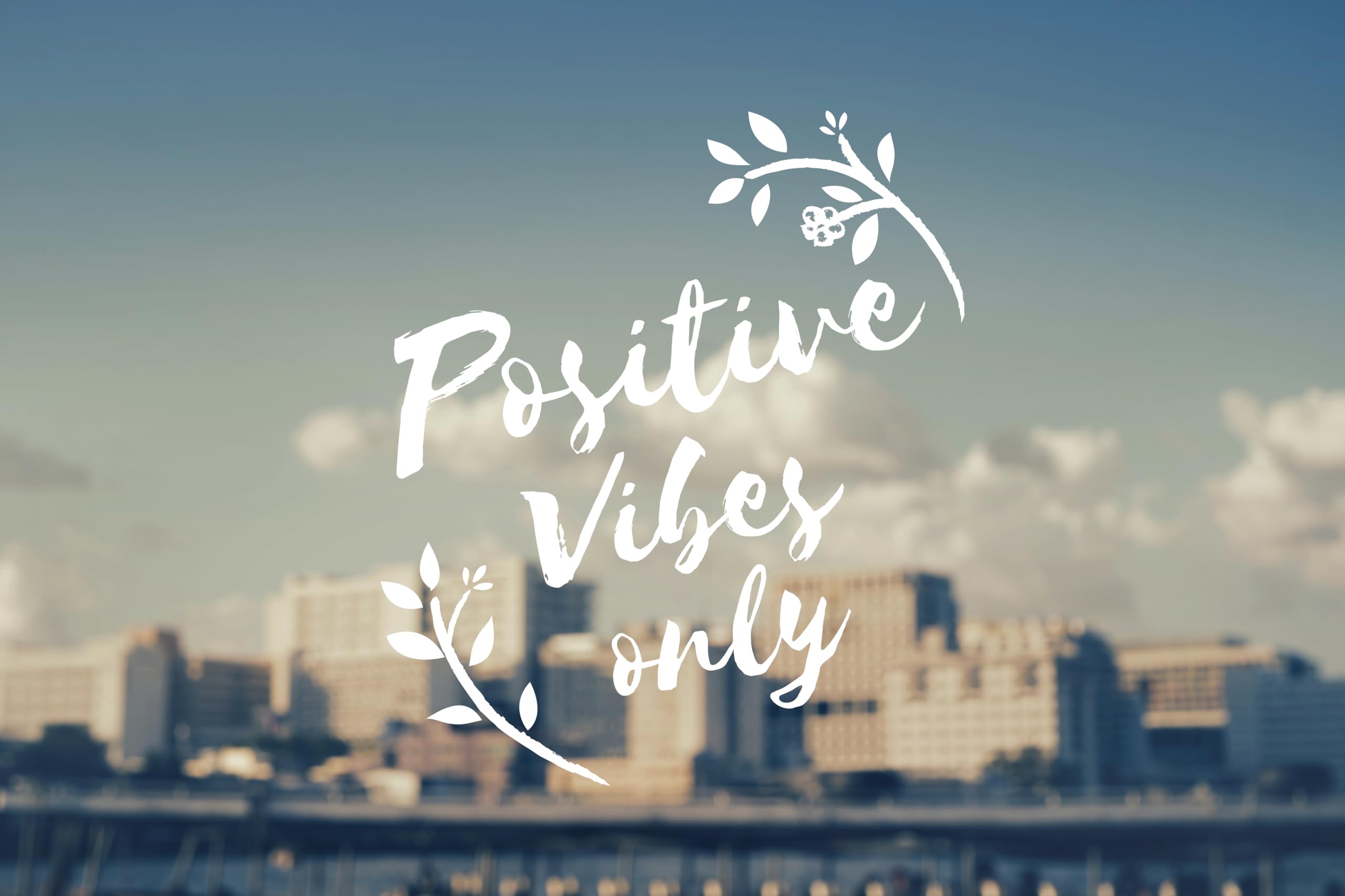 Inspirational Quote I Run On Caffeine Chaos & Cuss Words Motivational Sticker Vinyl Decal Motivation