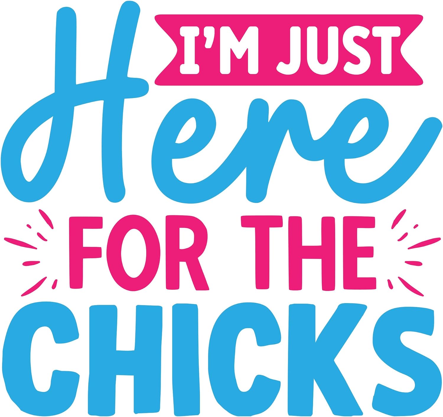 Inspirational Quote "I M Just Here for The Chicks" Motivational Sticker Vinyl Decal Motivation Stickers- 5" Vinyl Sticker Waterproof