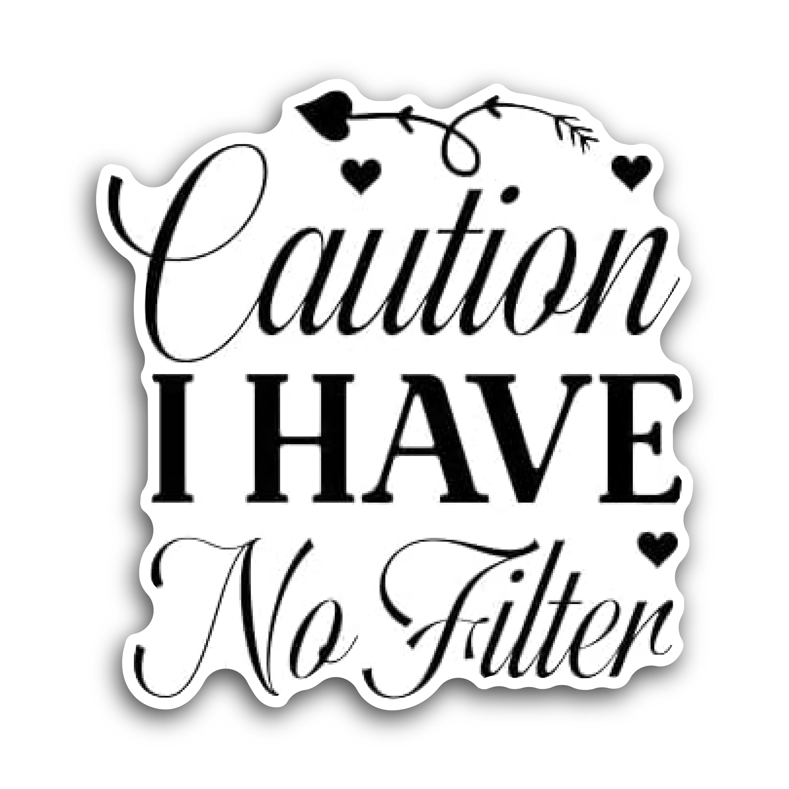 2 (Pieces) 3" and 5" Caution I Have no Filter Decal Sticker, Waterproof Vinyl Decals for Many Purpos
