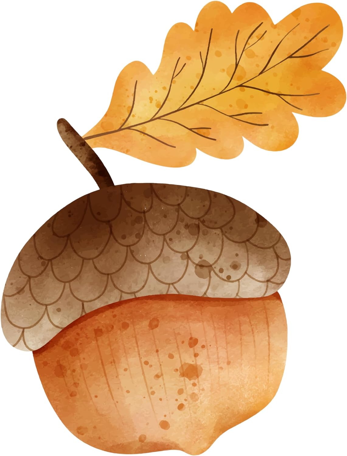 Inspirational Quote Beautiful Watercolor Acorn Motivational Sticker Vinyl Decal Motivation Stickers- 5" Vinyl Sticker Waterproof