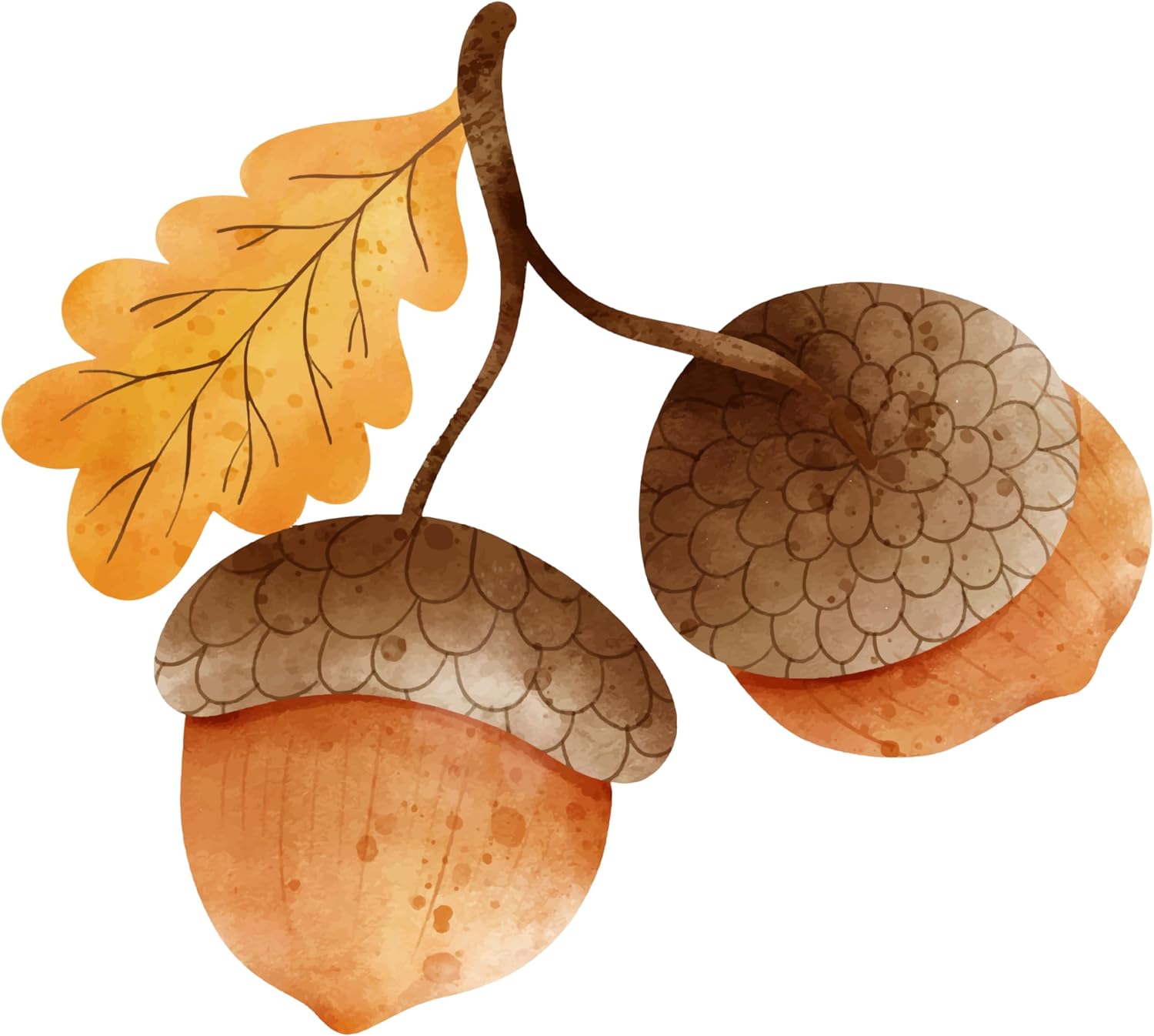 Inspirational Quote Oak Motivational Sticker Vinyl Decal Motivation Stickers- 5" Vinyl Sticker Waterproof