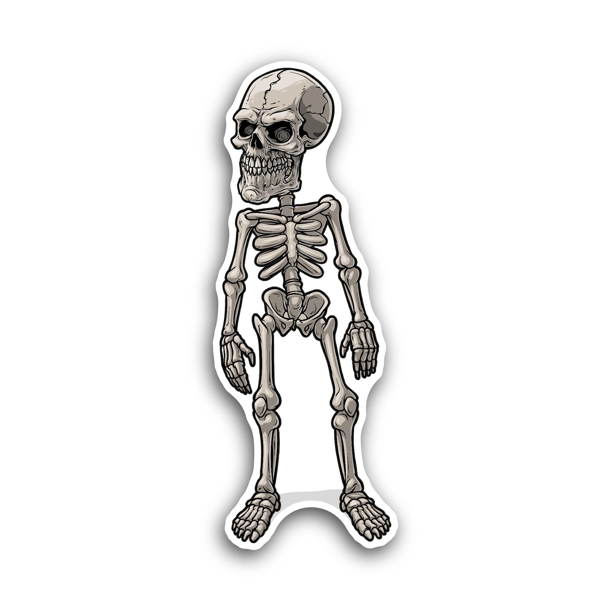 2 (Pieces) 3" and 5" Skeleton Sticker, Waterproof Vinyl Decals for Many Purpose Like Cars, Trucks, L
