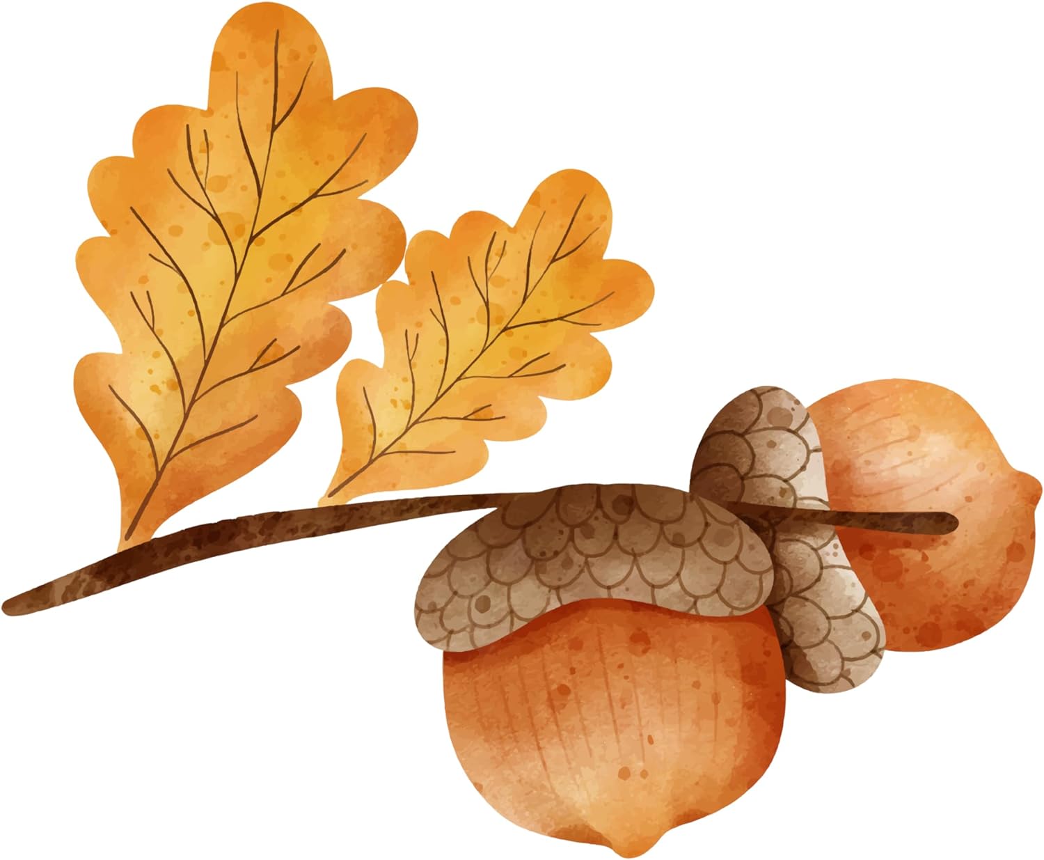 Inspirational Quote Watercolor Acorn Autumn Motivational Sticker Vinyl Decal Motivation Stickers- 5" Vinyl Sticker Waterproof