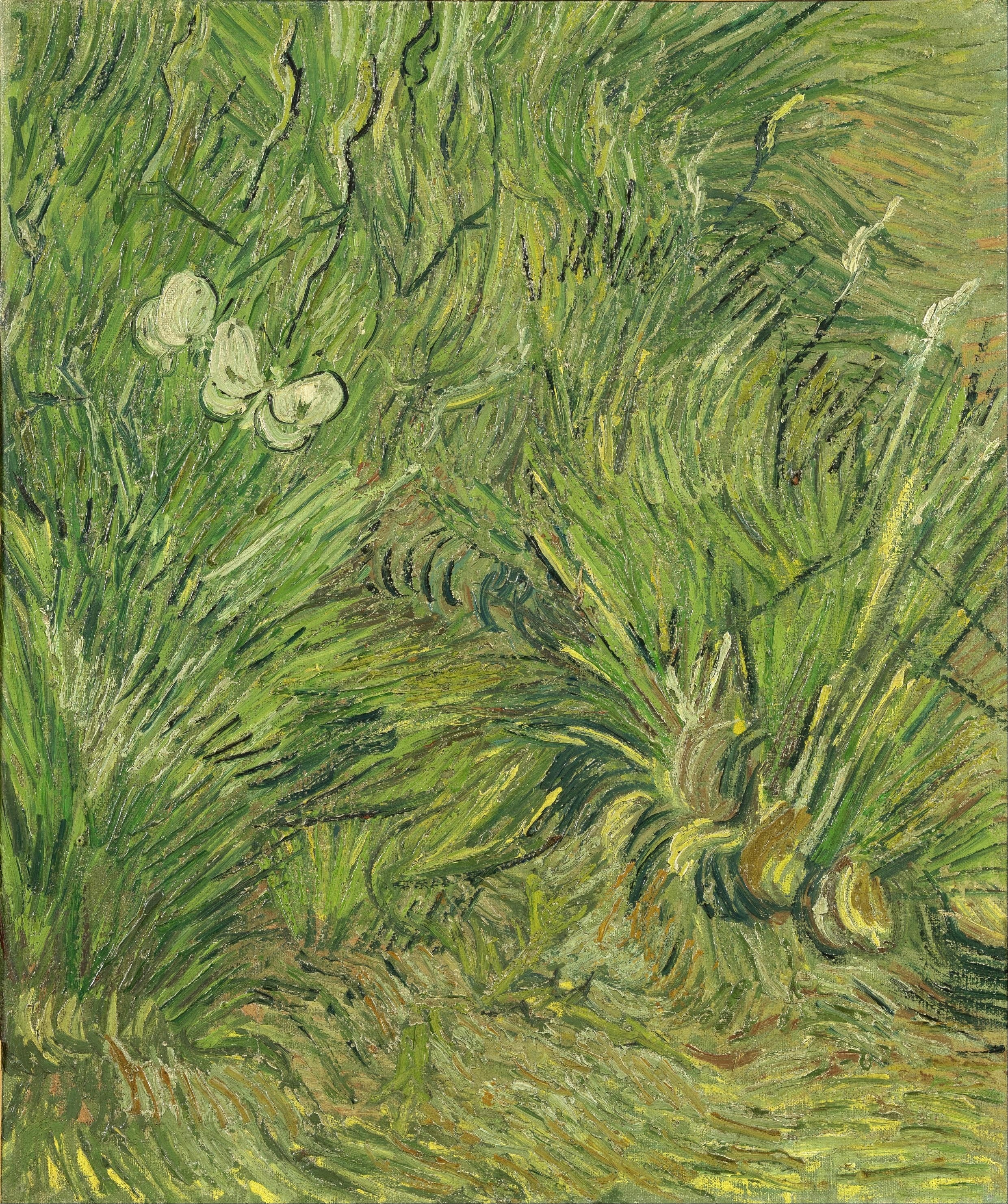 Vinyl Decal, Lush Green Meadow Artwork Featuring Delicate Winged Creatures (5" x 7")