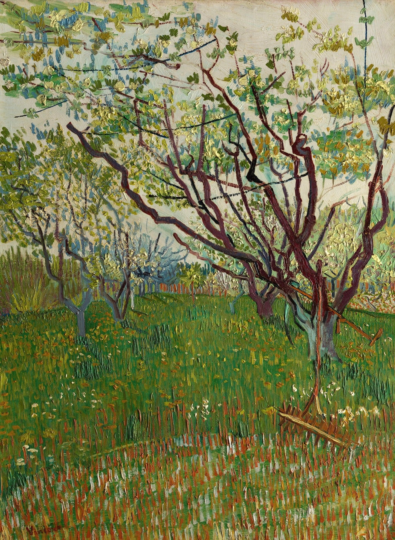 Vinyl Decal, Vibrant Spring Orchard Wall Art Canvas Print Unframed Nature Decor (5" x 7")
