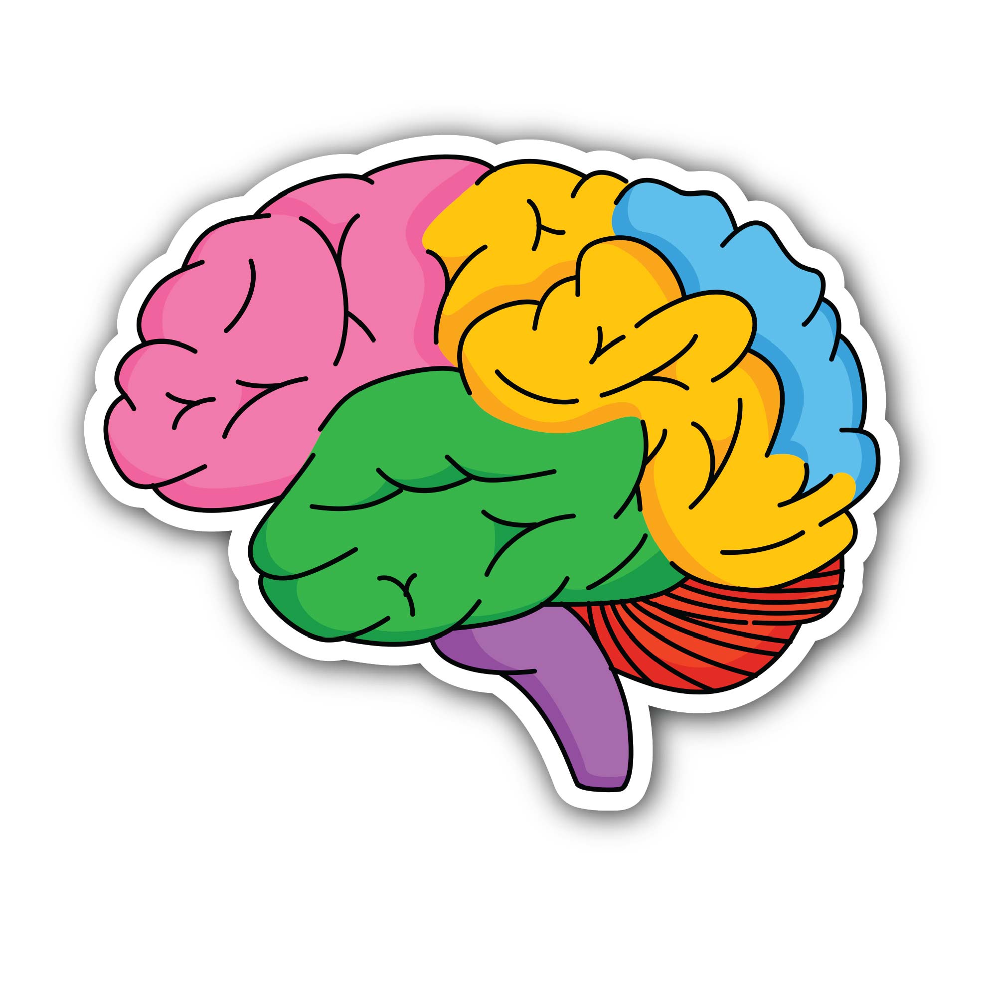Colorful brain Sticker, Waterproof Vinyl Decal Sticker Indoor Or Outdoor 2 (Pieces) 3" and 5"