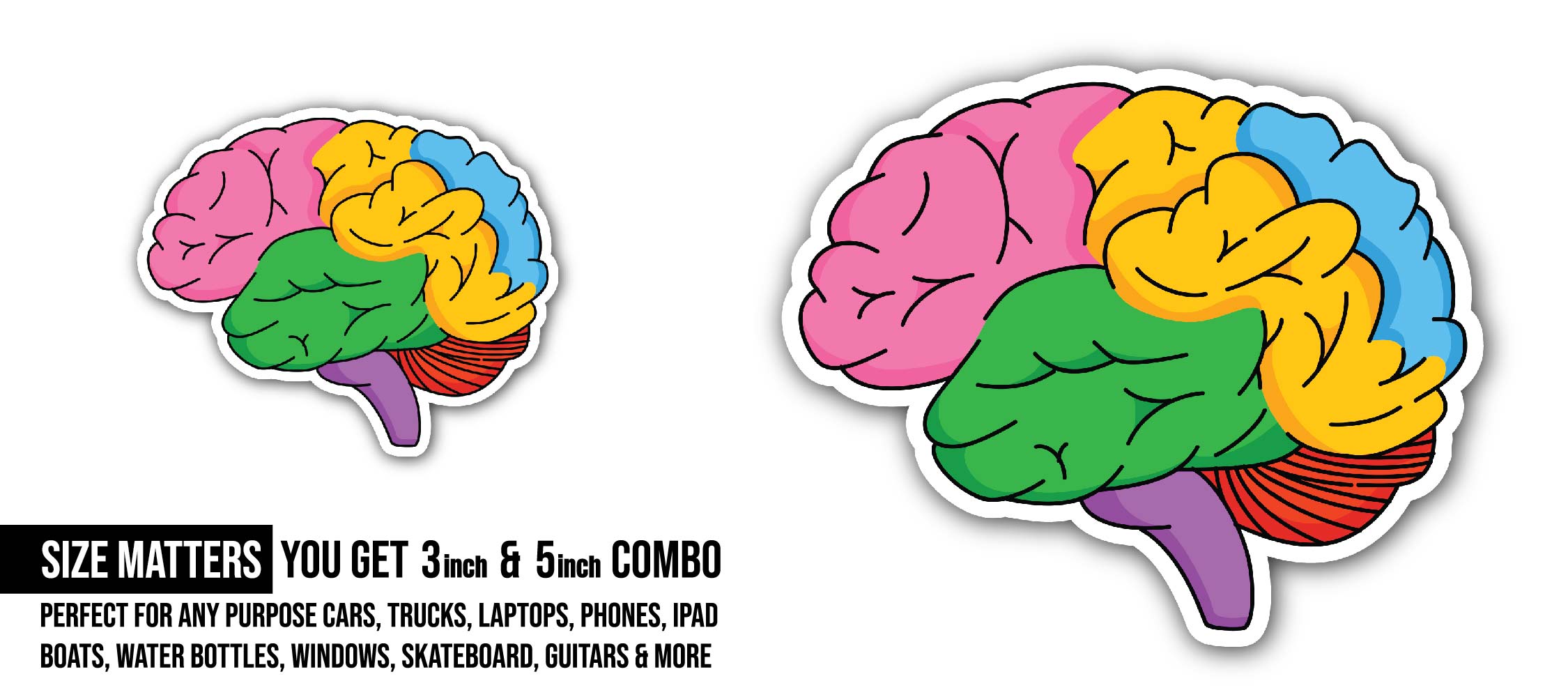 Colorful brain Sticker, Waterproof Vinyl Decal Sticker Indoor Or Outdoor 2 (Pieces) 3" and 5"