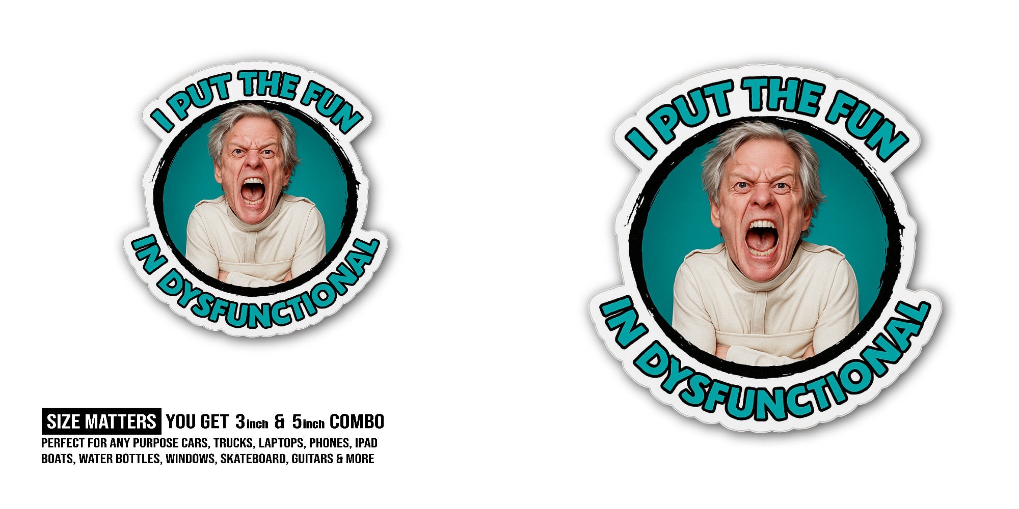 I PUT THE FUN IN DYSFUNCTIONAL Sticker, Waterproof Vinyl Decal Sticker Indoor Or Outdoor 2 (Pieces) 3" and 5"
